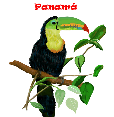 >Rain Forest Toucan - Island Art by Yotigo 